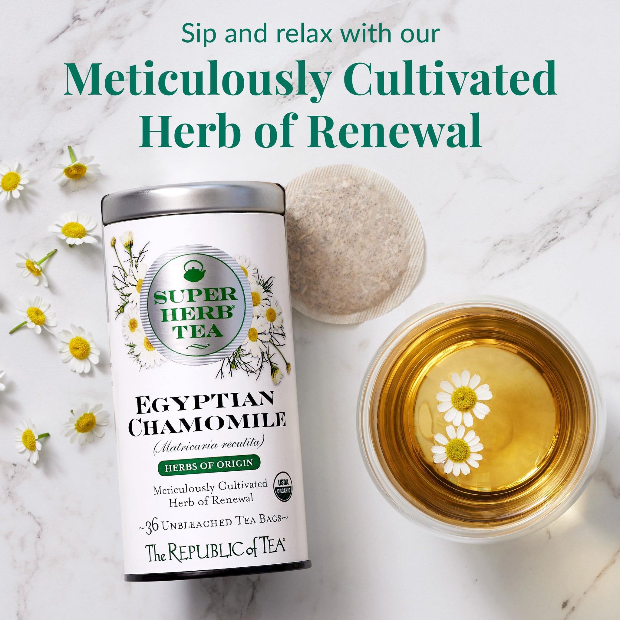 The Republic of Tea - Organic Egyptian Chamomile SuperHerb Tea Tin, 36 Herbal Tea Bags, Naturally Caffeine-Free Herbs of Origin