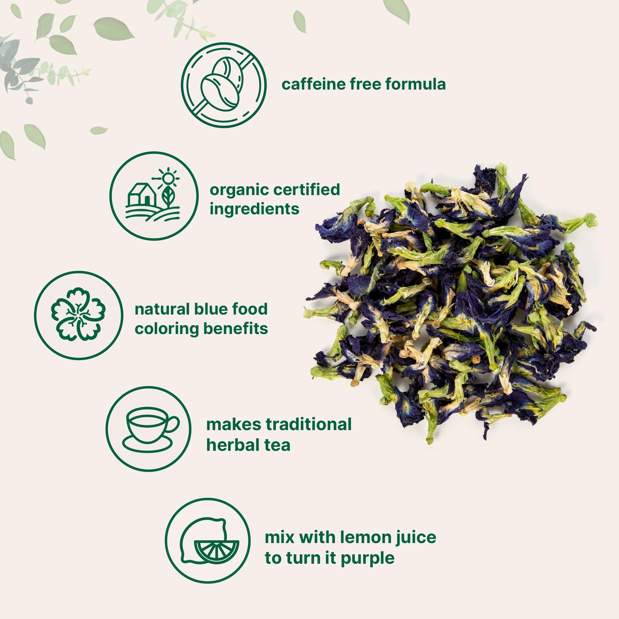 Micro Ingredients Organic Butterfly Pea Flower Tea, 8 oz (680+ Cups) | Loose Leaf Herbal Tea | Natural Blue & Purple Color | Rich in Antioxidants |