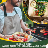 Eco Craft Stix 10 inch Square Palm Leaf Plates. Eco Friendly Dinnerware. Pack of 25 Plates. Eco-Friendly and Compostable Palm Plates. Sturdy