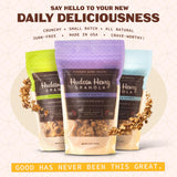 Hudson Henry Favorites Granola Variety Pack | Small Batch Baked Gluten Free Granola with Pure Maple Syrup, Extra Virgin Olive Oil & Pumpkin Seeds |