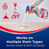 Woolite® Advantage INSTAclean™ Pet Stain Remover - 2 Pack, 3322