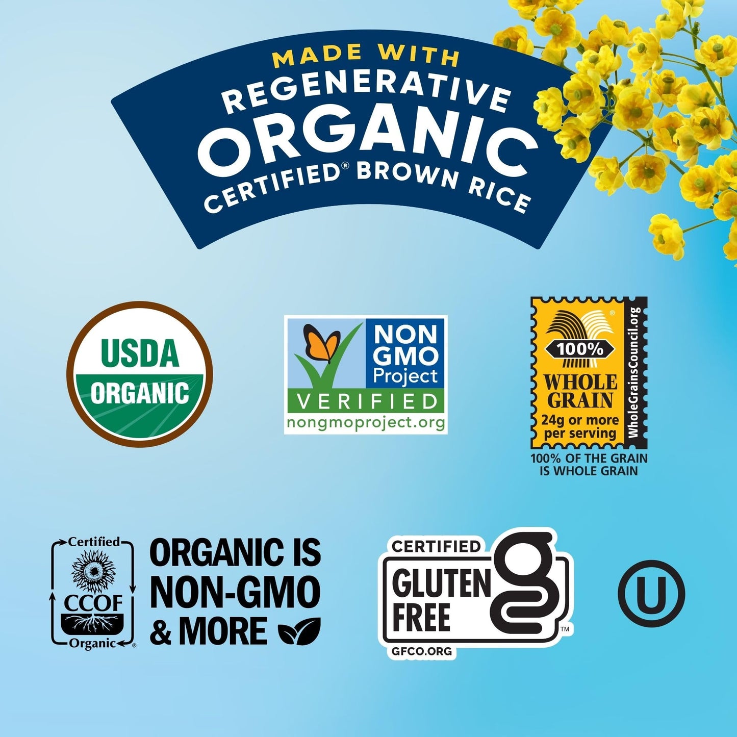 Lundberg Organic Rice Cake Minis, Original Sea Salt - Mini Rice Cakes, Healthy Snacks for Adults and Kids, Vegan Snacks, Gluten-Free, Healthy Food