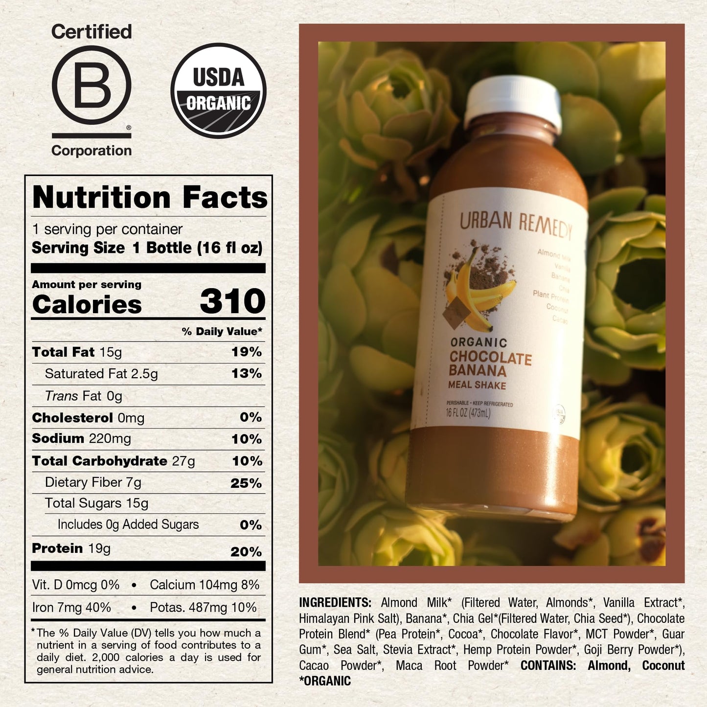 Urban Remedy Chocolate Banana Meal Replacement Shake, 16 fl oz - Organic, High-Protein, Plant-Based, Dairy-Free, Gluten-Free, Kosher, Ready-to-Drink