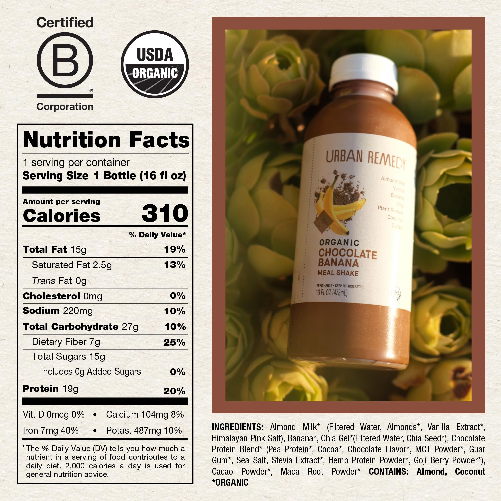 Urban Remedy Chocolate Banana Meal Replacement Shake, 16 fl oz - Organic, High-Protein, Plant-Based, Dairy-Free, Gluten-Free, Kosher, Ready-to-Drink