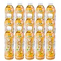 [Case of 15] ??? Kang Shi Fu Jasmin Green Tea (Honey / ????)