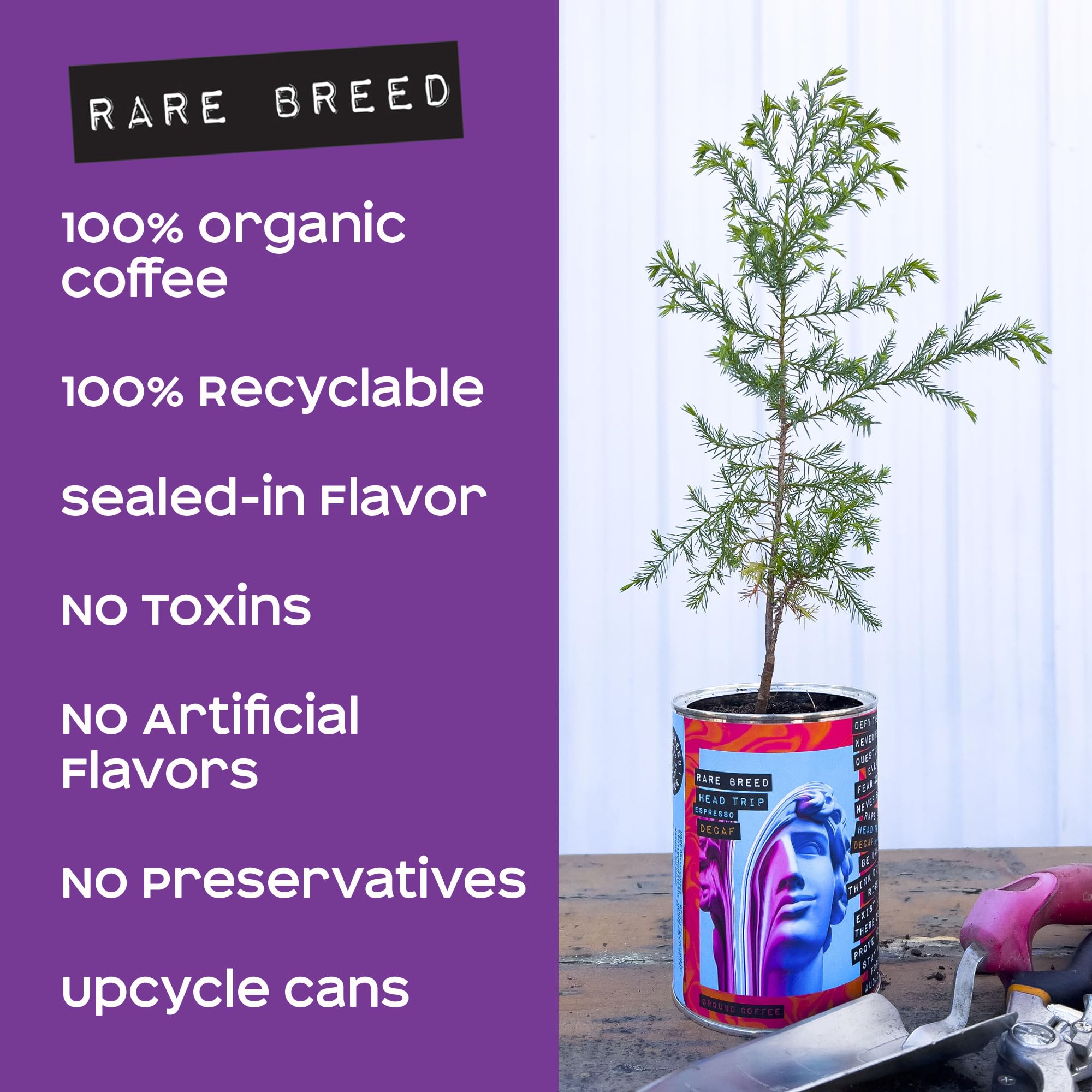 Rare Breed Cat Magic Medium Roast Whole Bean Coffee - Roasted Low Acid Arabica Beans with Bold Aromatic Flavor - Ideal Gift for Coffee Lovers, Brewing