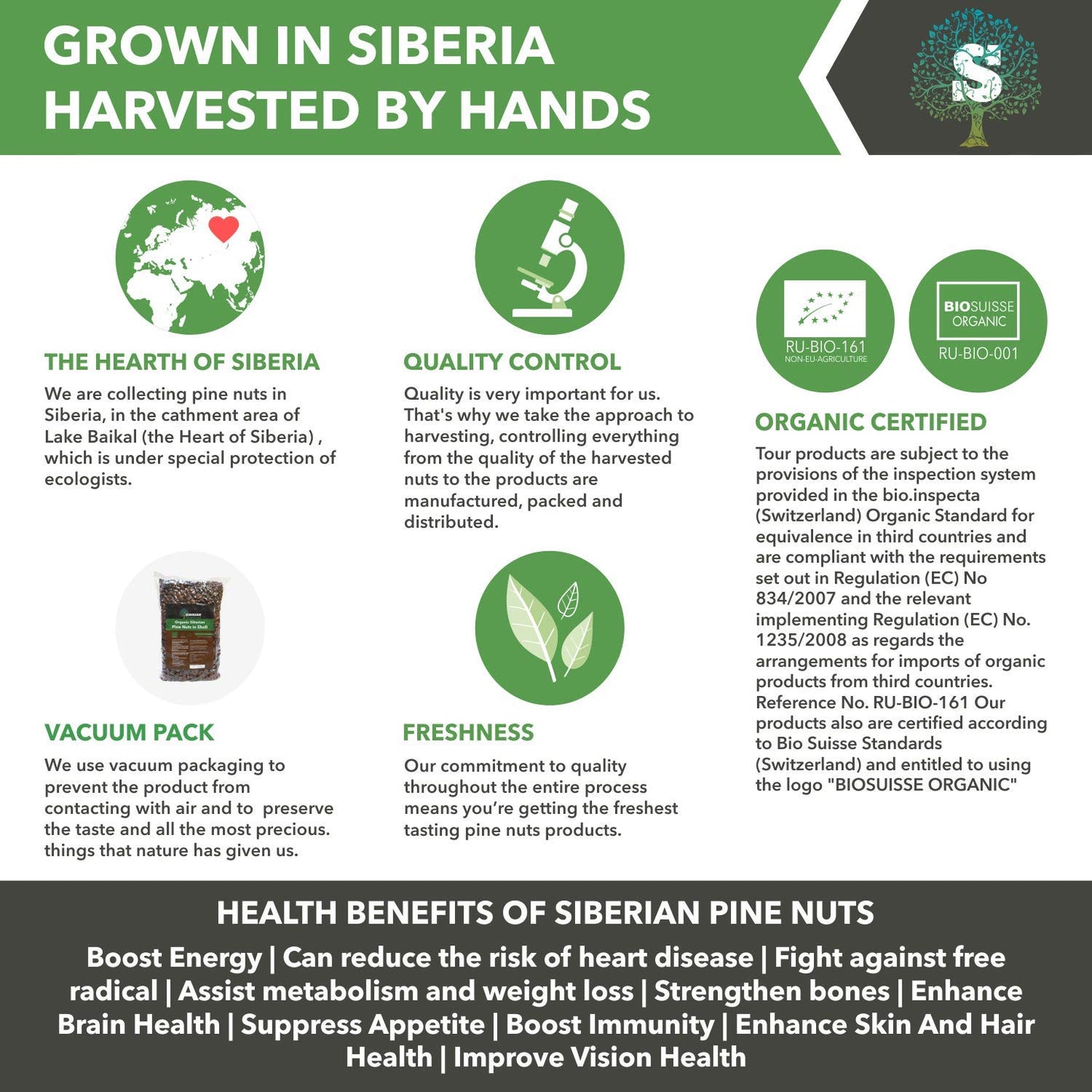 Siberian Green Food Unpeeled Pine Nuts 1000gr/35.3oz/2.2lb