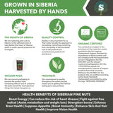 Siberian Green Food Unpeeled Pine Nuts 1000gr/35.3oz/2.2lb