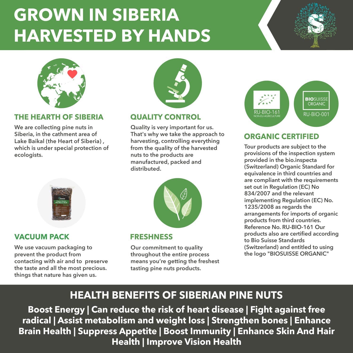 Siberian Green Food Unpeeled Pine Nuts 1000gr/35.3oz/2.2lb