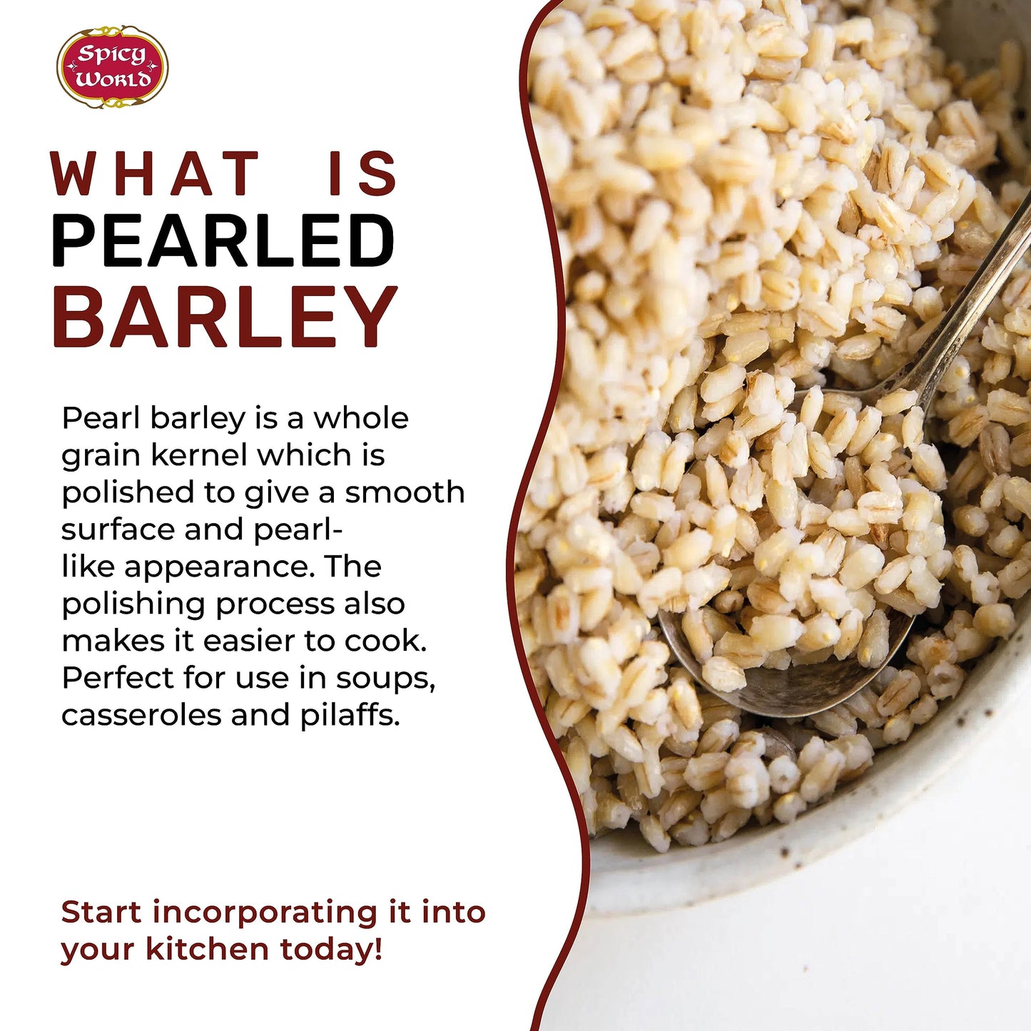 Spicy World Pearl Barley (Whole) Grain 4 LB Jumbo Bag - USA Grown (64oz) - All Natural, Non-GMO Source, Resealable
