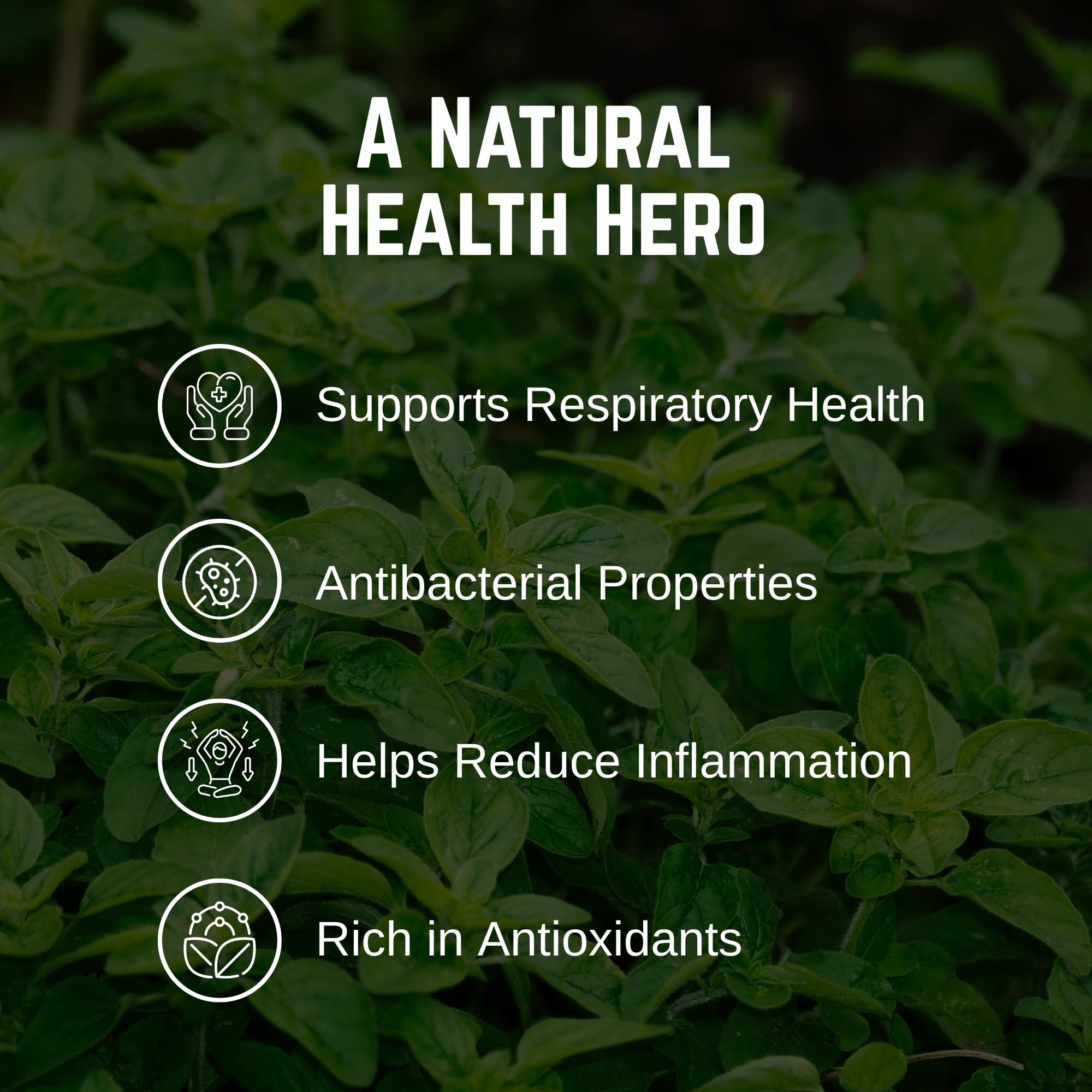 Organic Oregano Dried 3.88 oz - Dried Oregano Leaves - USDA Organic, Kosher, Gluten Free Seasoning - The Holly Tree