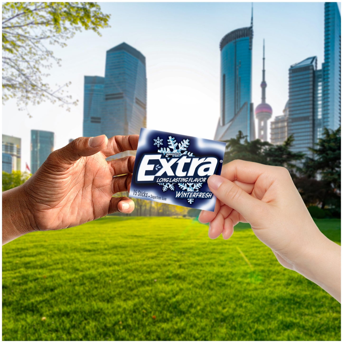 Extra Winterfresh Gum, 20 Packs of 15 Pieces Total 300 Sticks