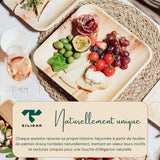 Tilipan Plam Leaf Disposable Plates 10 Inches (50 Count) Like Bamboo Plates,Compostable & Biodegradable,Better than Plastic Plates-Heavy-Duty