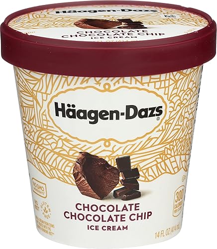 Haagen Dazs, Ice Cream Chocolate Chocolate Chip, 14 Ounce