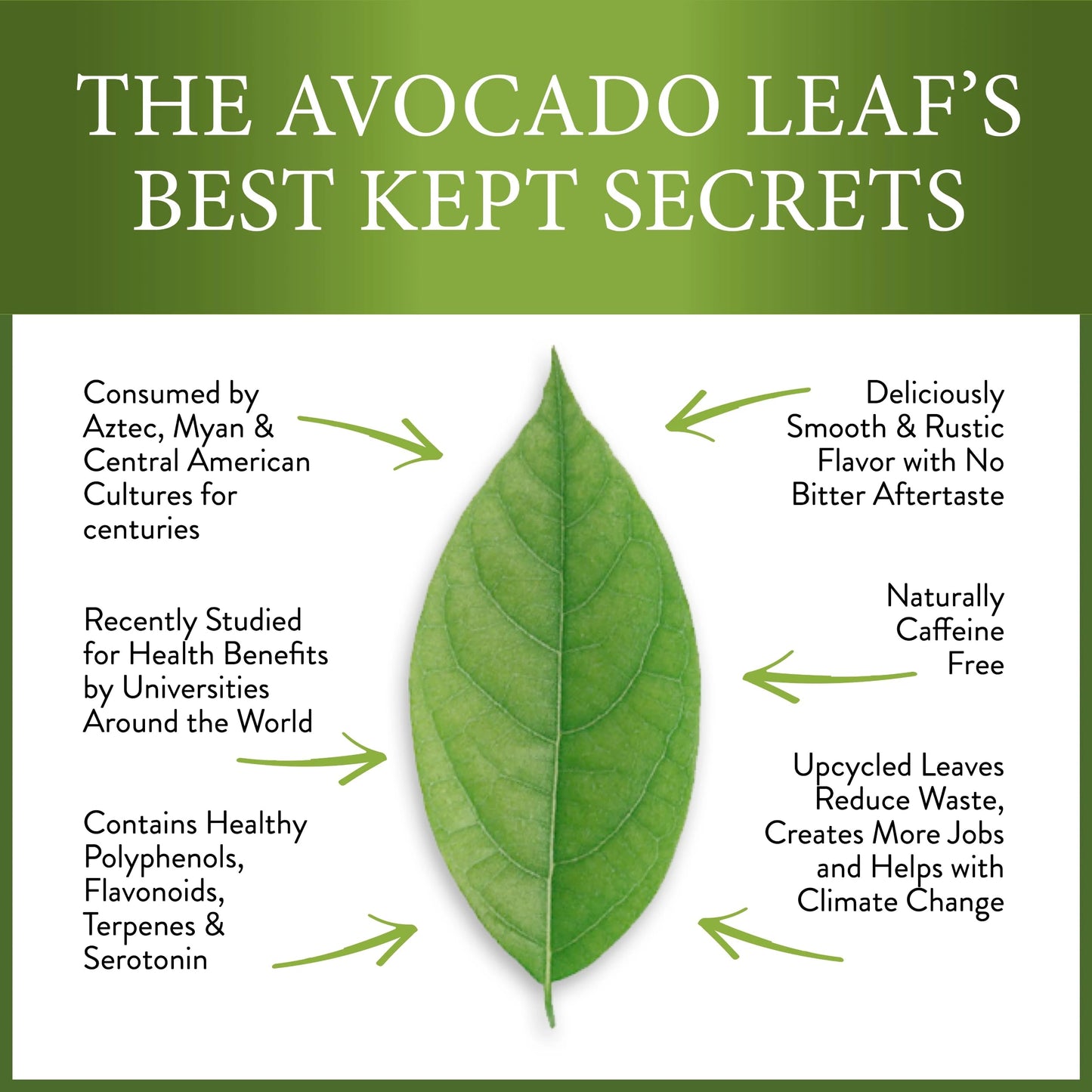 Avocado Tea Party With Five Blends | Variety tea Pack | Peach Tea | Lemon Tea | Natural Avocado Leaf Tea | Chamomile Tea | Black Tea | Great Gift Idea