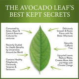 Avocado Tea Party With Five Blends | Variety tea Pack | Peach Tea | Lemon Tea | Natural Avocado Leaf Tea | Chamomile Tea | Black Tea | Great Gift Idea