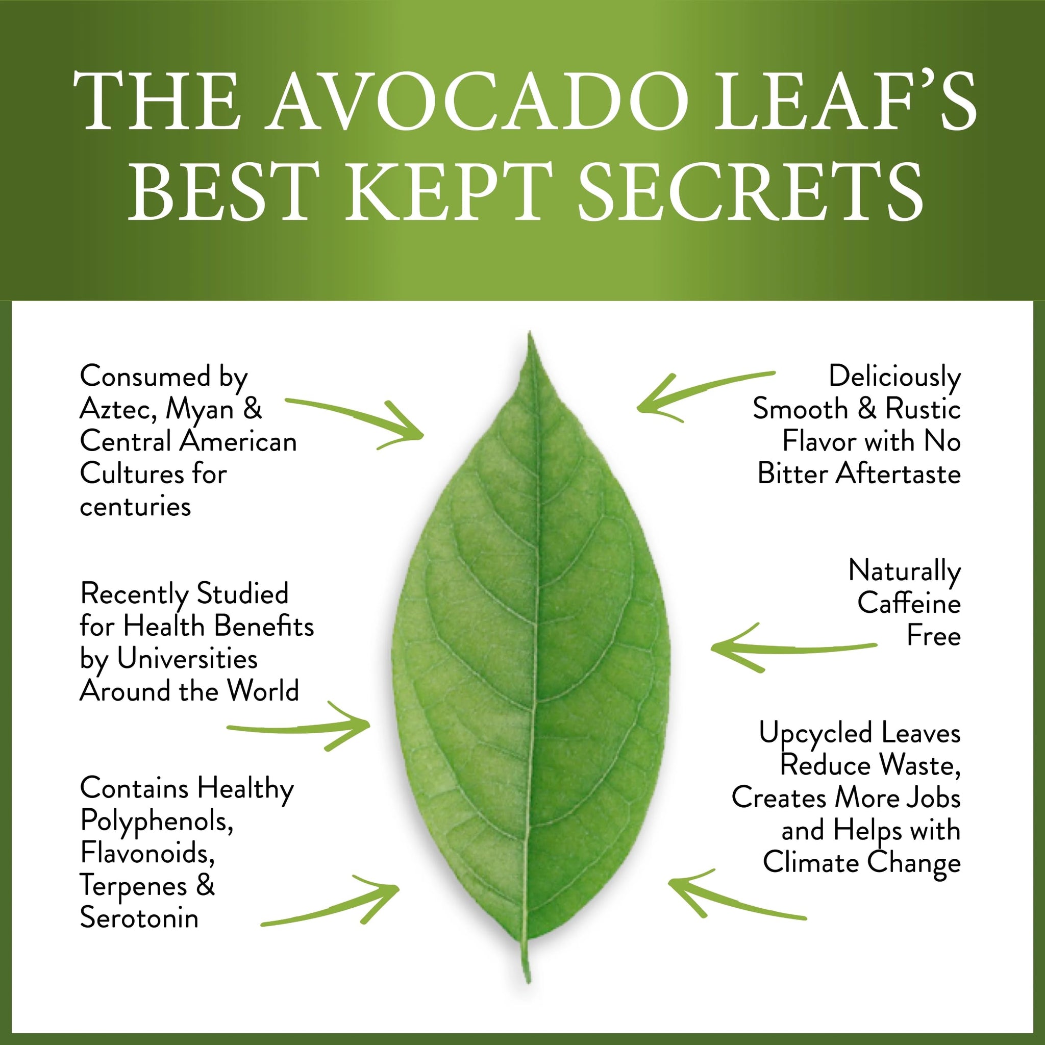 Avocado Tea Party With Five Blends | Variety tea Pack | Peach Tea | Lemon Tea | Natural Avocado Leaf Tea | Chamomile Tea | Black Tea | Great Gift Idea