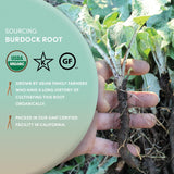 Worldwide Botanicals Organic Burdock Root - 1 lb - 100% Arctium lappa - Raíz de Bardana - Cut & Sift, Excellent Detox and Digestion Herb tea, Used