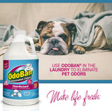 OdoBan Disinfectant Concentrate and Odor Eliminator, Made in the USA, Cotton Breeze Scent, 4 Gallons