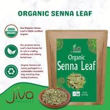 Jiva Organics Organic Senna Leaf 8 Ounce Bulk Bag - Cut & Sifted Tea - Non-GMO - Senna Alexandrina, Folium Sennae