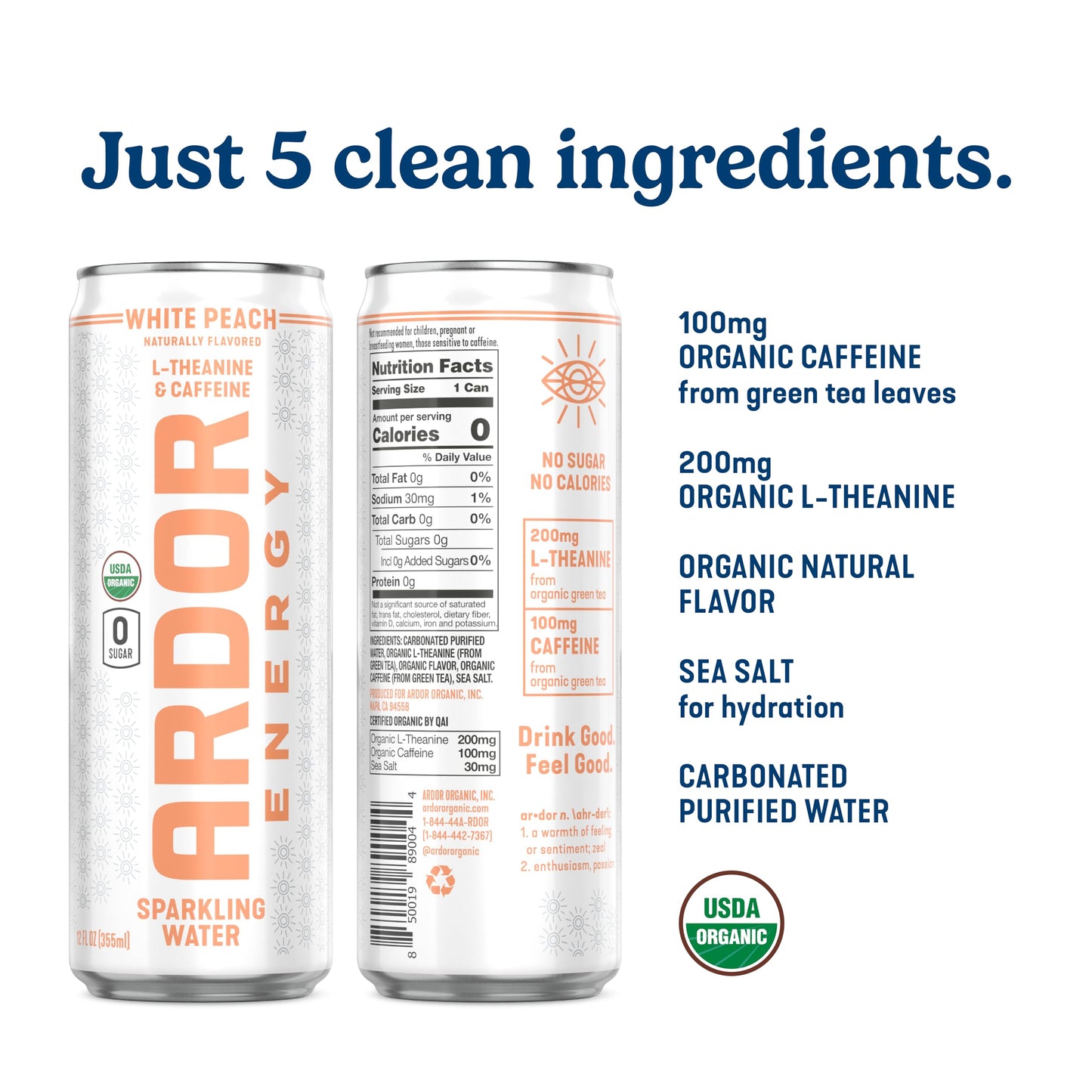 ARDOR ENERGY Sparkling Water with 100mg Natural Caffeine & 200mg L-Theanine from Organic Green Tea for Smooth Energy & Focus | Healthy Energy Drink |