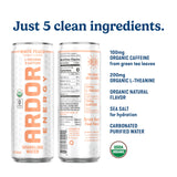 ARDOR ENERGY Sparkling Water with 100mg Natural Caffeine & 200mg L-Theanine from Organic Green Tea for Smooth Energy & Focus | Healthy Energy Drink |