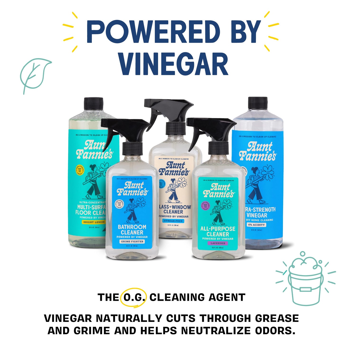 Aunt Fannie's Toilet Bowl Cleaner, Bleach-Free Cleaner Powered by Vinegar, Freshens and Removes Stains, Eucalyptus Scent, 24 fl oz, Pack of 1