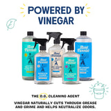 Aunt Fannie's Toilet Bowl Cleaner, Bleach-Free Cleaner Powered by Vinegar, Freshens and Removes Stains, Eucalyptus Scent, 24 fl oz, Pack of 1