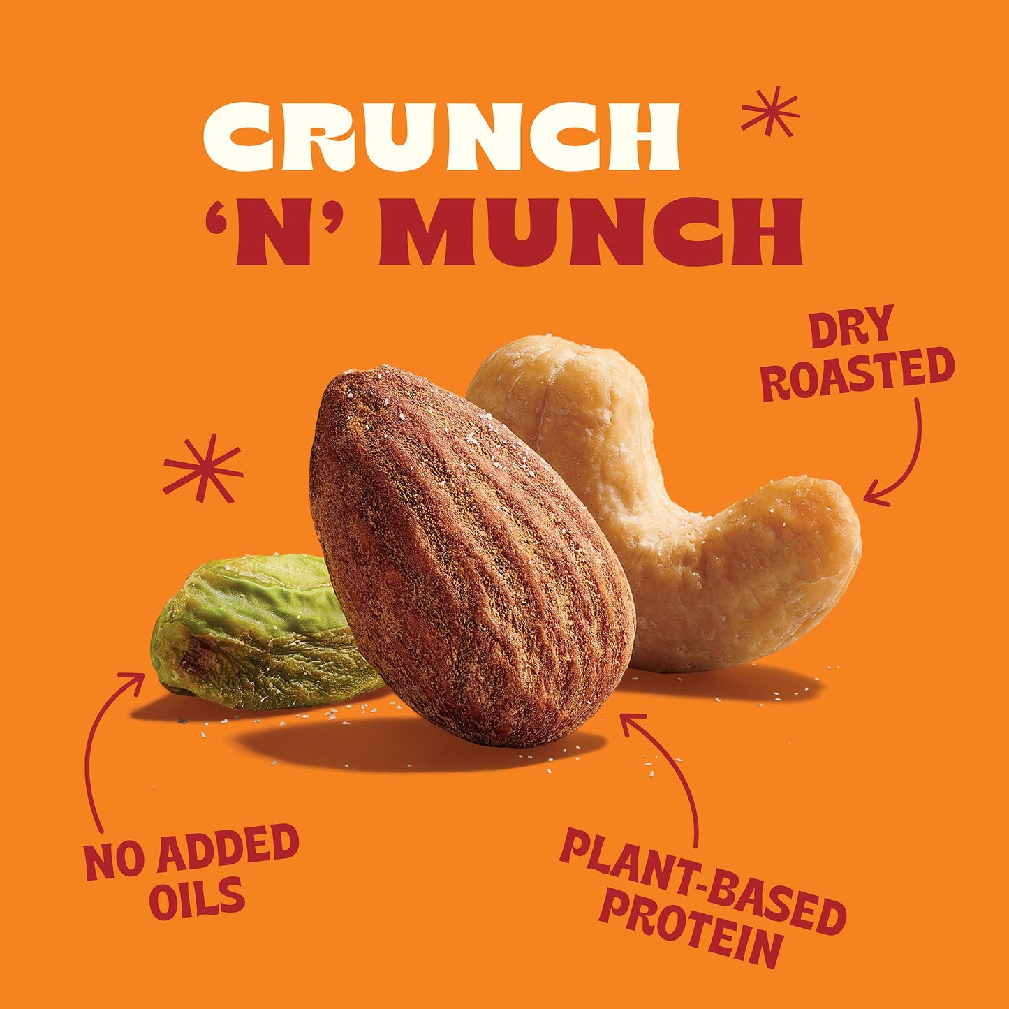 Back to Nature Premium Nut Mix - Cashew, Almond & Pistachio Blend, Dry Roasted with Sea Salt, Non-GMO High Protein Snacks, 9 Ounce