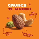 Back to Nature Premium Nut Mix - Cashew, Almond & Pistachio Blend, Dry Roasted with Sea Salt, Non-GMO High Protein Snacks, 9 Ounce