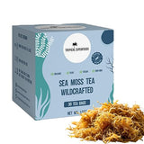 Sea Moss Tea, Pure Wildcrafted Organic Sea Moss Tea 92 Minerals - 30 Sea Moss Tea Bags