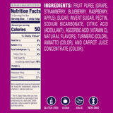 Welch's Absolute Fruitfuls Fruit Strips, Tasty Dried Fruit Snacks for School Lunches, Berry Medley, 0.5oz (Pack of 10)