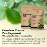 100g Kalanchoe Pinnata Leaves Powder - Healthy, Well-Cleaned, Dried Organic Leaves Powder, No Additives, 100% Pure & Natural