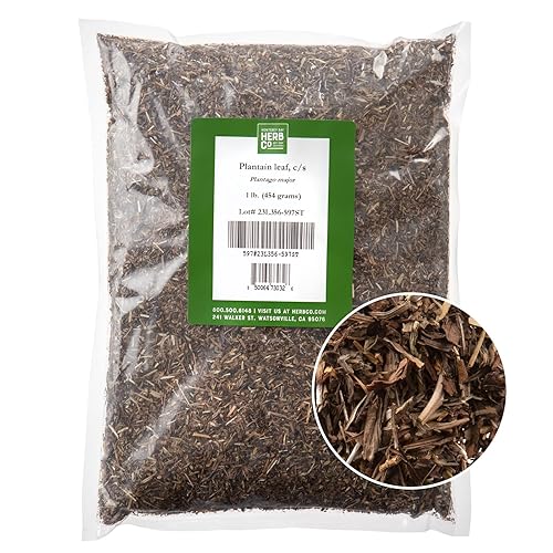 Plantain Leaf Cut & Sifted, by Herb Co, Plantago Major, from Albania, Kosher, for Tea, Soaps, Lotions, Salves & Skincare, 1 lb