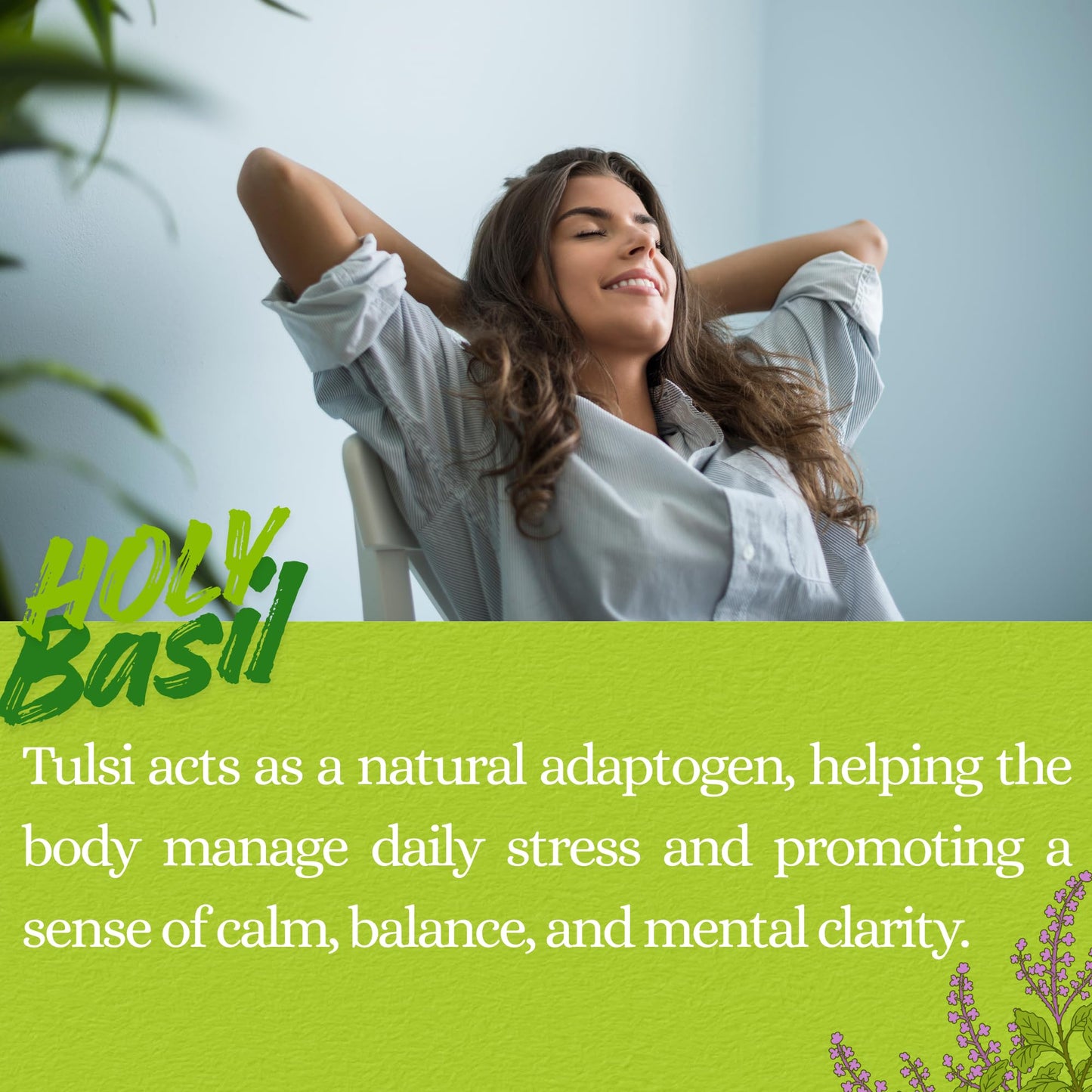 Basic Ayurveda Holy Basil (Tulsi) Leaves | 1.06 Oz (30g) | Pure Dried Tulsi Leaves | Natural Ayurvedic Herb for Herbal Tea, Detox & Daily Wellness |