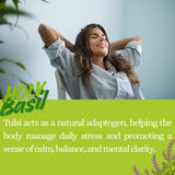 Basic Ayurveda Holy Basil (Tulsi) Leaves | 1.06 Oz (30g) | Pure Dried Tulsi Leaves | Natural Ayurvedic Herb for Herbal Tea, Detox & Daily Wellness |