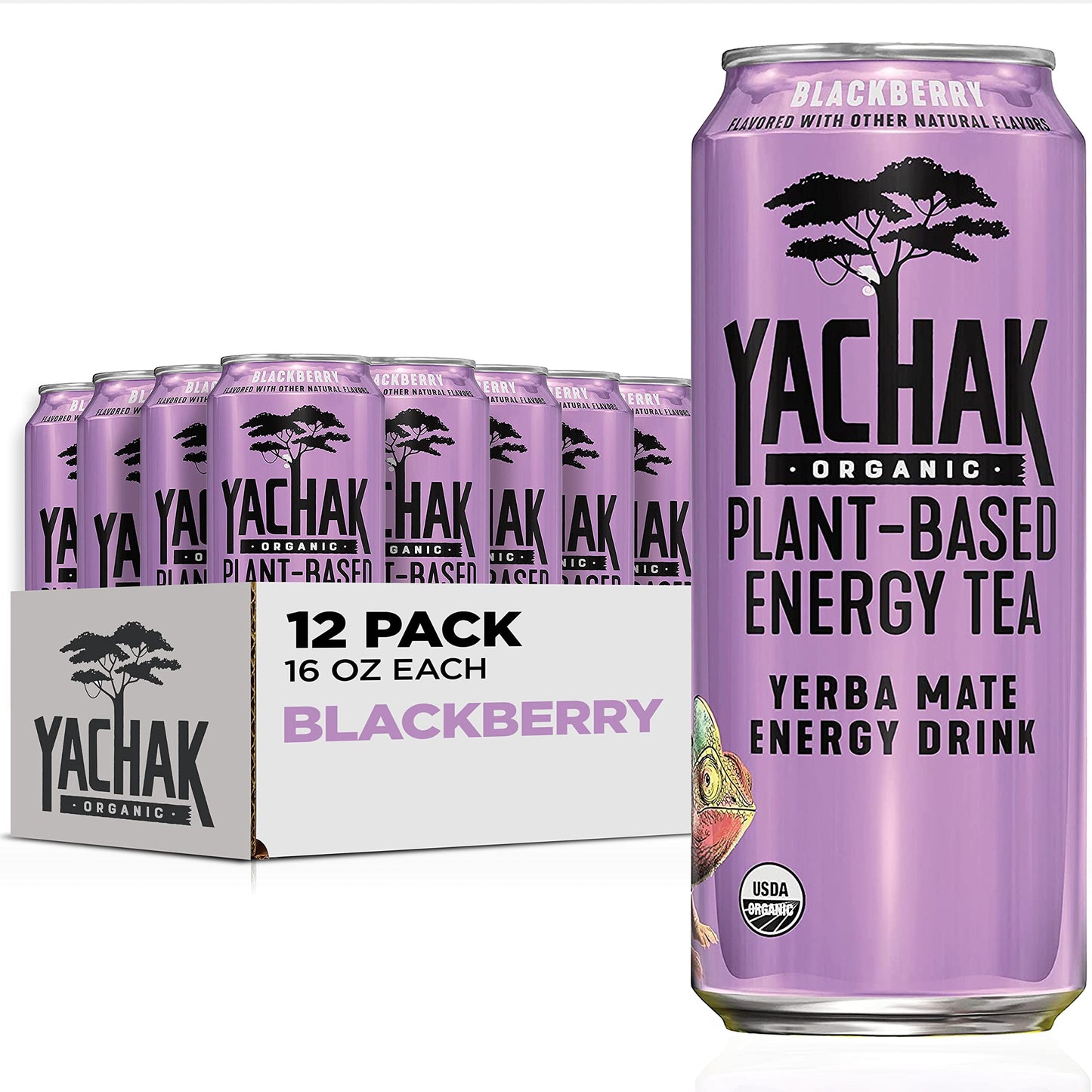 Yachak Yerba Mate Drink, Blackberry, 16 Fl Oz Cans, Pack of 12