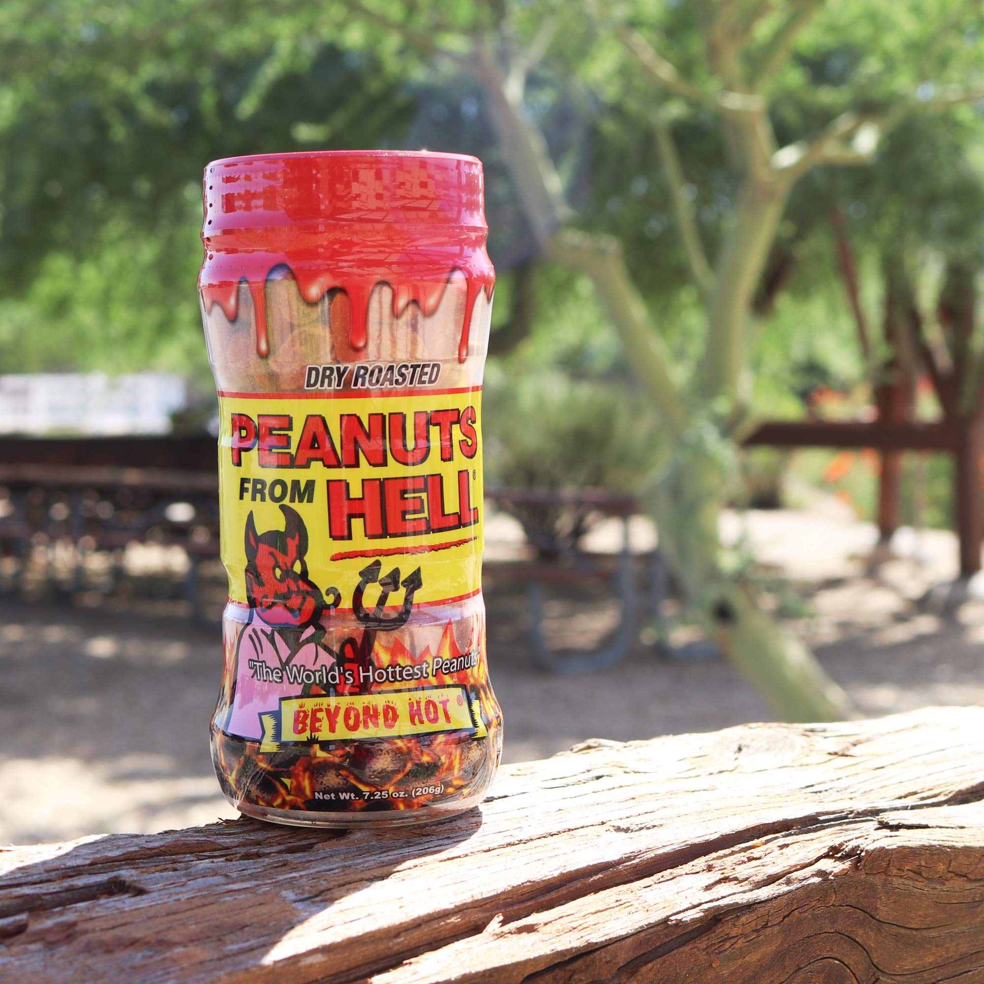 Peanuts from Hell - Ultimate Spicy Gourmet Gift Peanuts 7.25 oz Jar - Try if you dare! (Habanero from HELL)