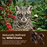 Gate to Nature Wild Civet Arabica Coffee Whole Beans, Freshly Made Luxury Kopi Luwak Coffee Bean, Dark Roast Kopi Luwak Coffee Gifts, Produce in best