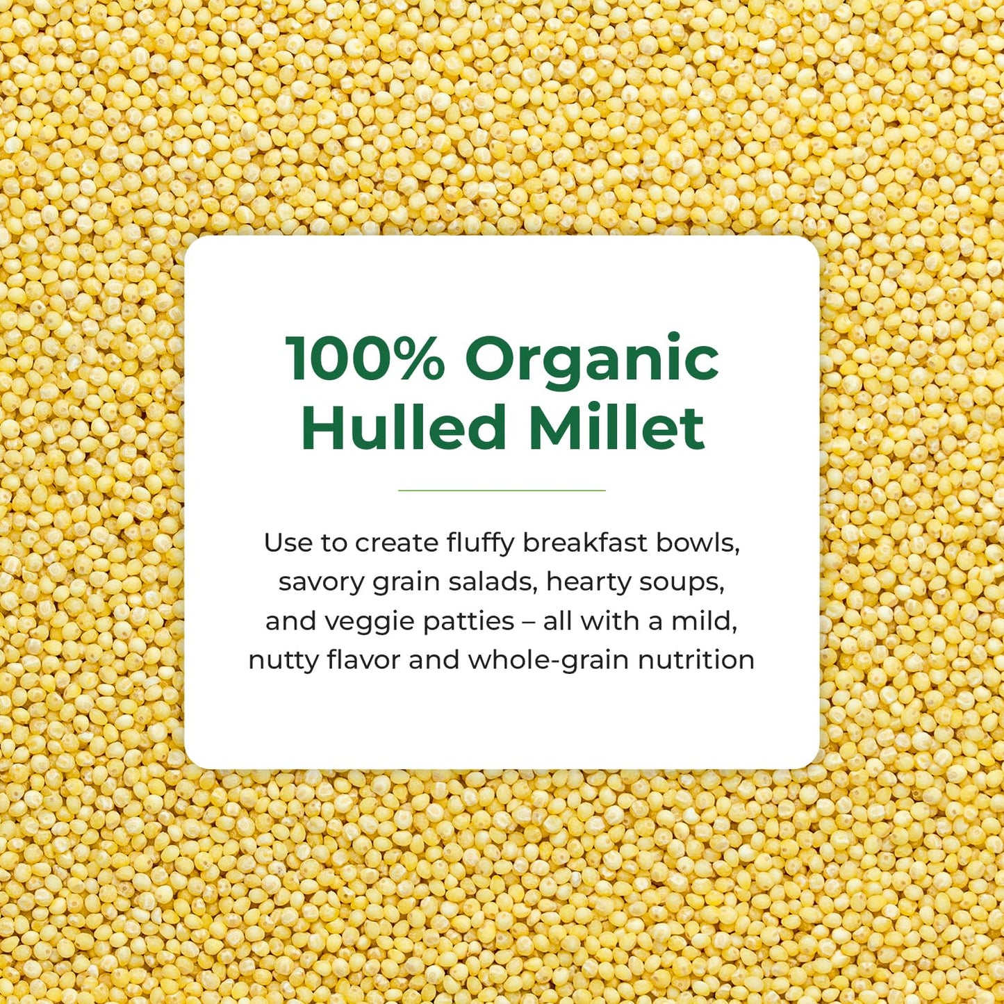 Quay Naturals Organic Hulled Millet, 2.5 lbs, USA Grown, Non-GMO, Gluten-Free, Whole Grain, Easy to Digest, Vegan-Friendly