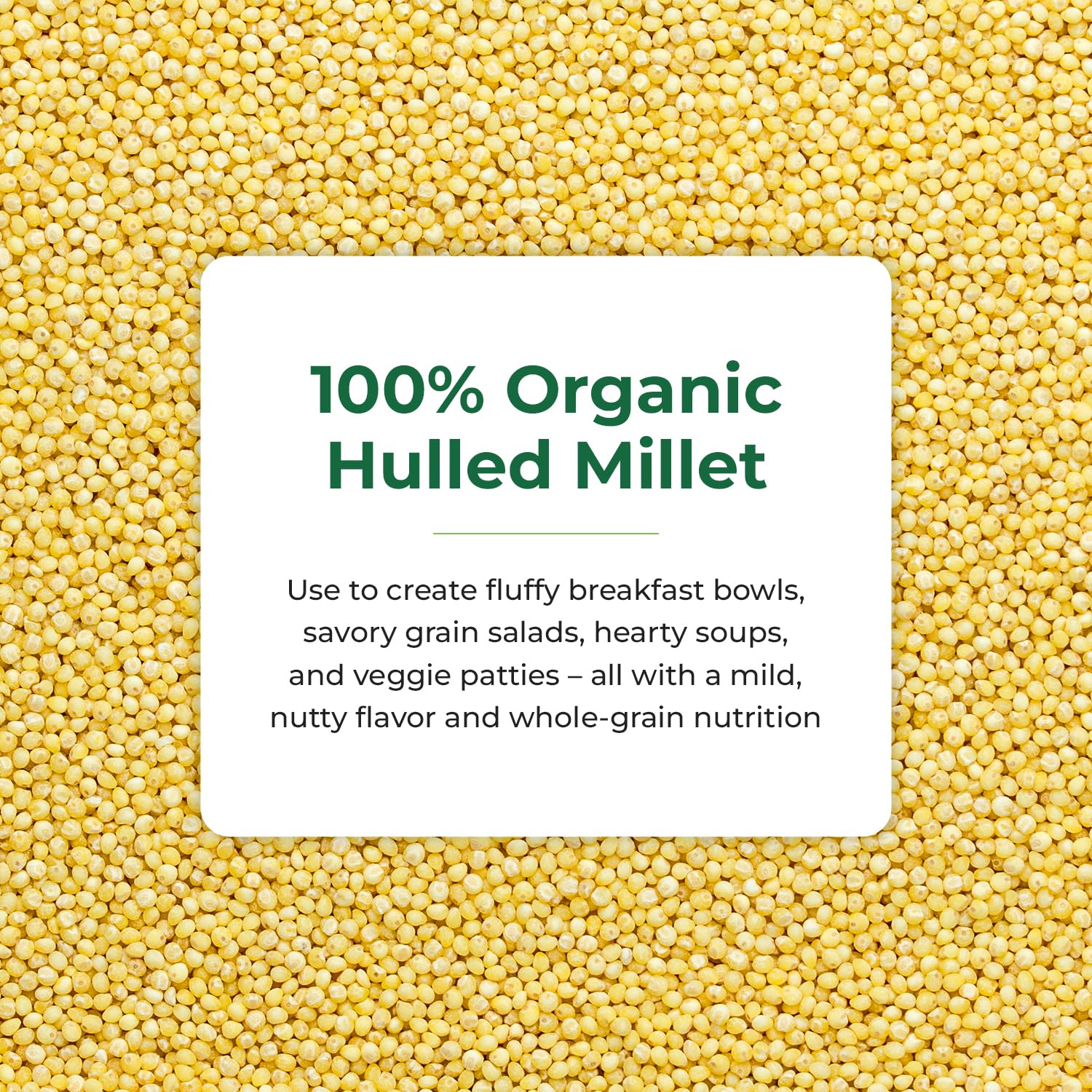 Quay Naturals Organic Hulled Millet, 2.5 lbs, USA Grown, Non-GMO, Gluten-Free, Whole Grain, Easy to Digest, Vegan-Friendly