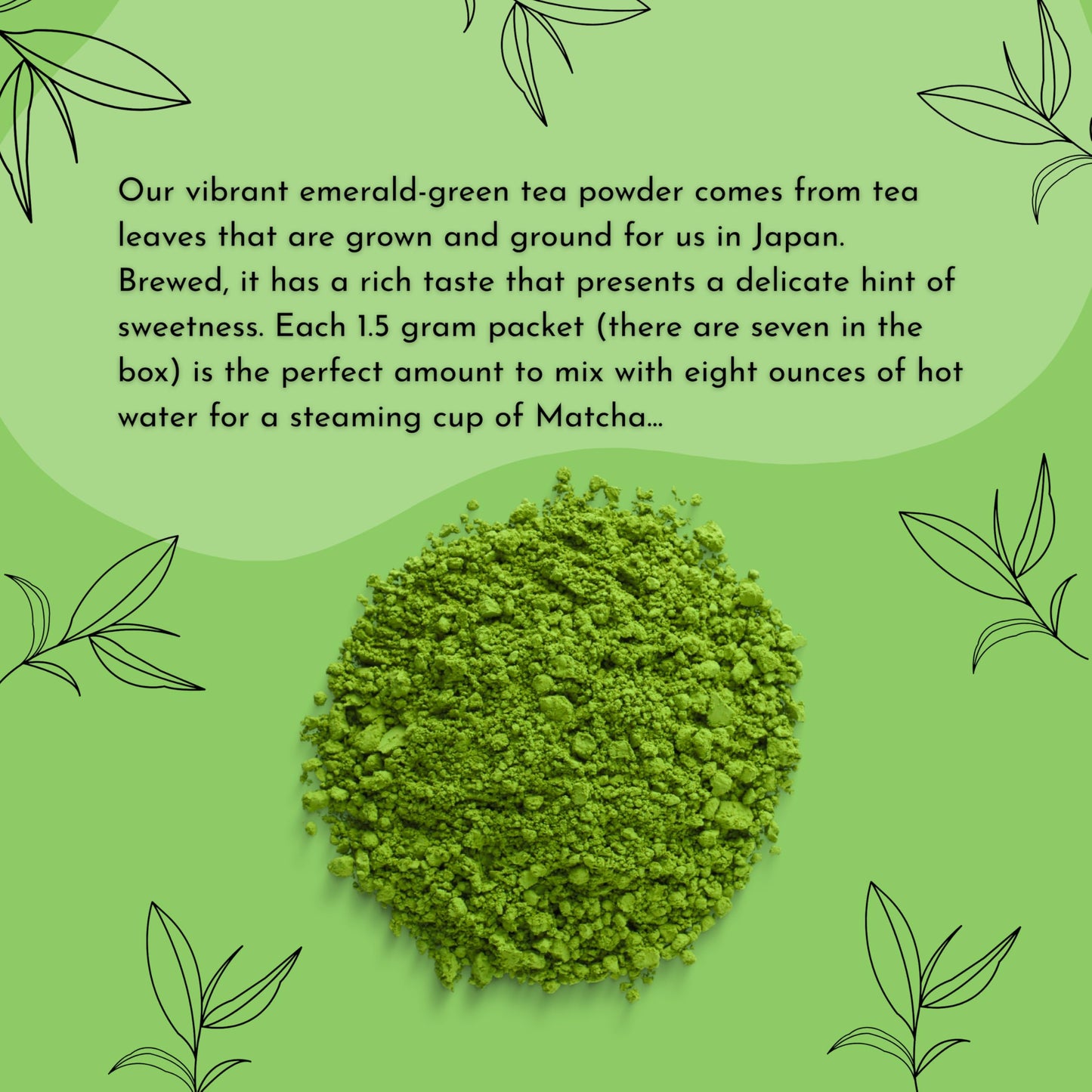 Trader Joe’s Matcha Green Tea Powder - Convenient Single Serve Packets, for Travel & Home, 3 Pack (each with 7 Sticks)