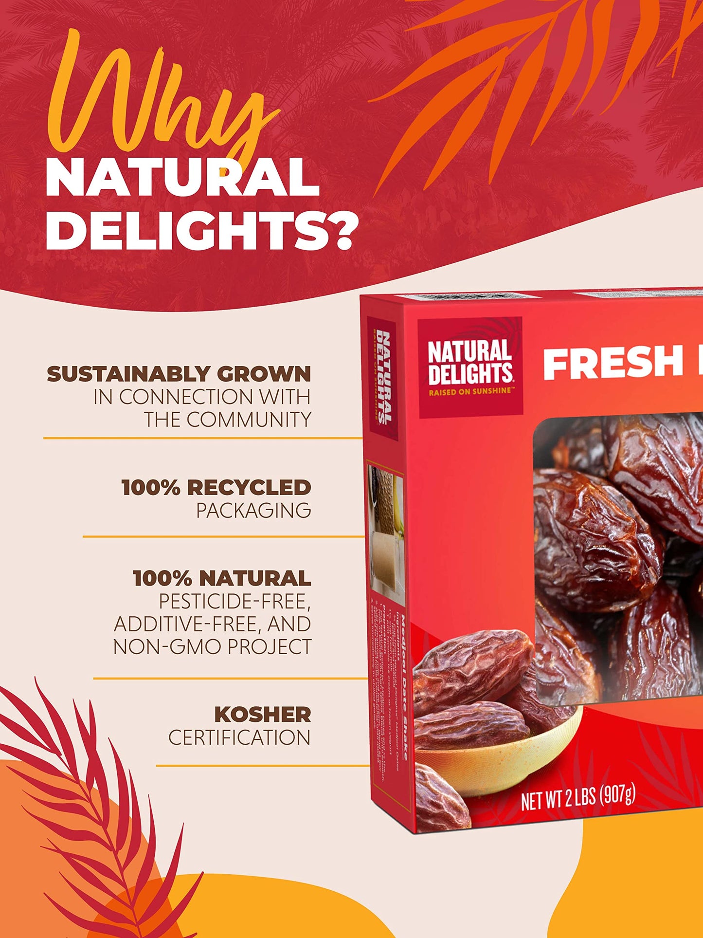 Natural Delights Dates - Large & Plump, Non-GMO Verified, Good Source of Fiber, Naturally Sweet Fruit Snack, Perfect for On-the-Go - Medjool Dates