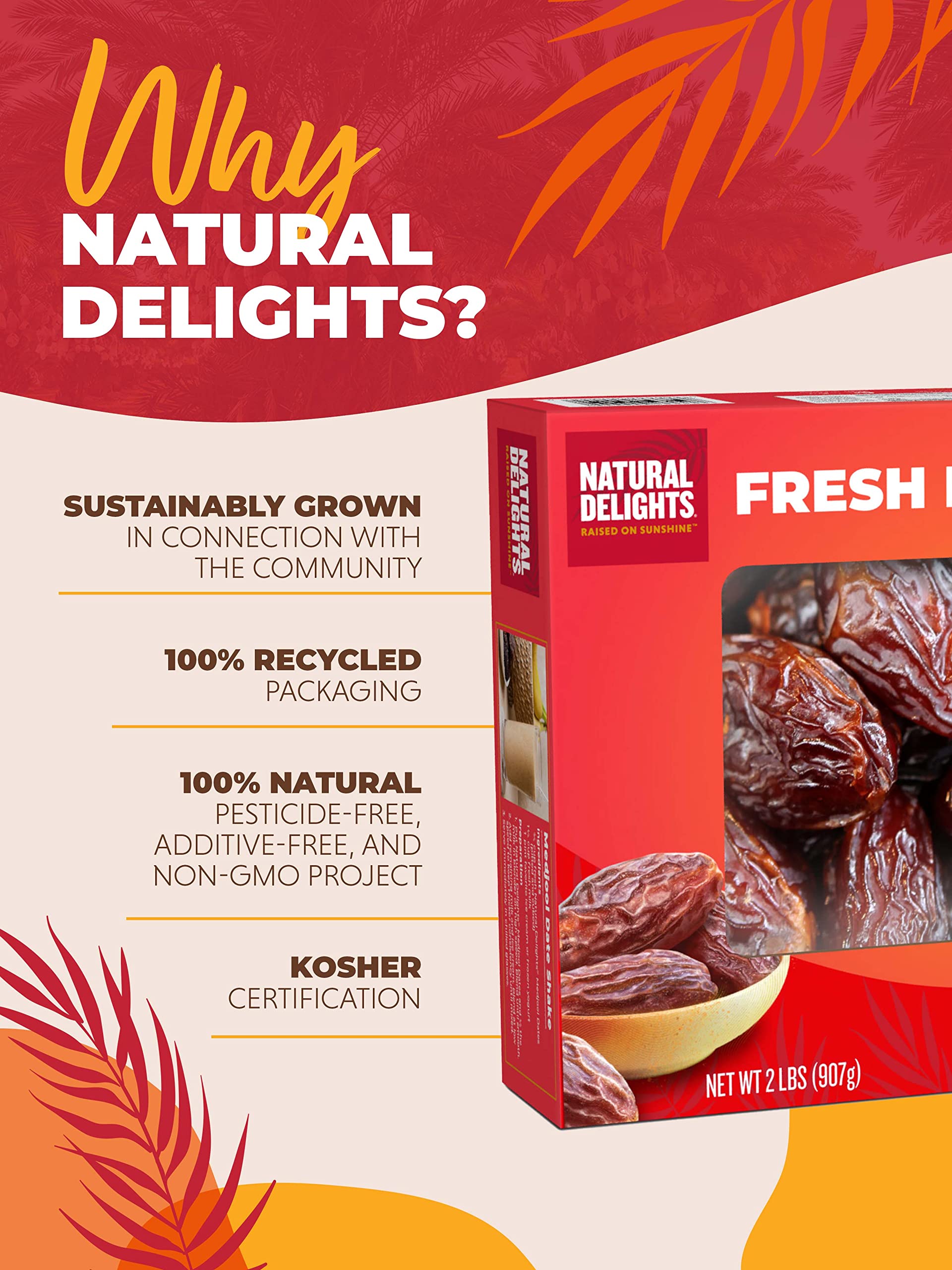Natural Delights Dates - Large & Plump, Non-GMO Verified, Good Source of Fiber, Naturally Sweet Fruit Snack, Perfect for On-the-Go - Medjool Dates
