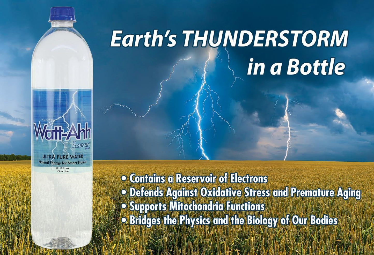 AquaNew's Watt-Ahh® - Premium Polarized Water for Energy and Health - Case of 12-1 Liter Bottles