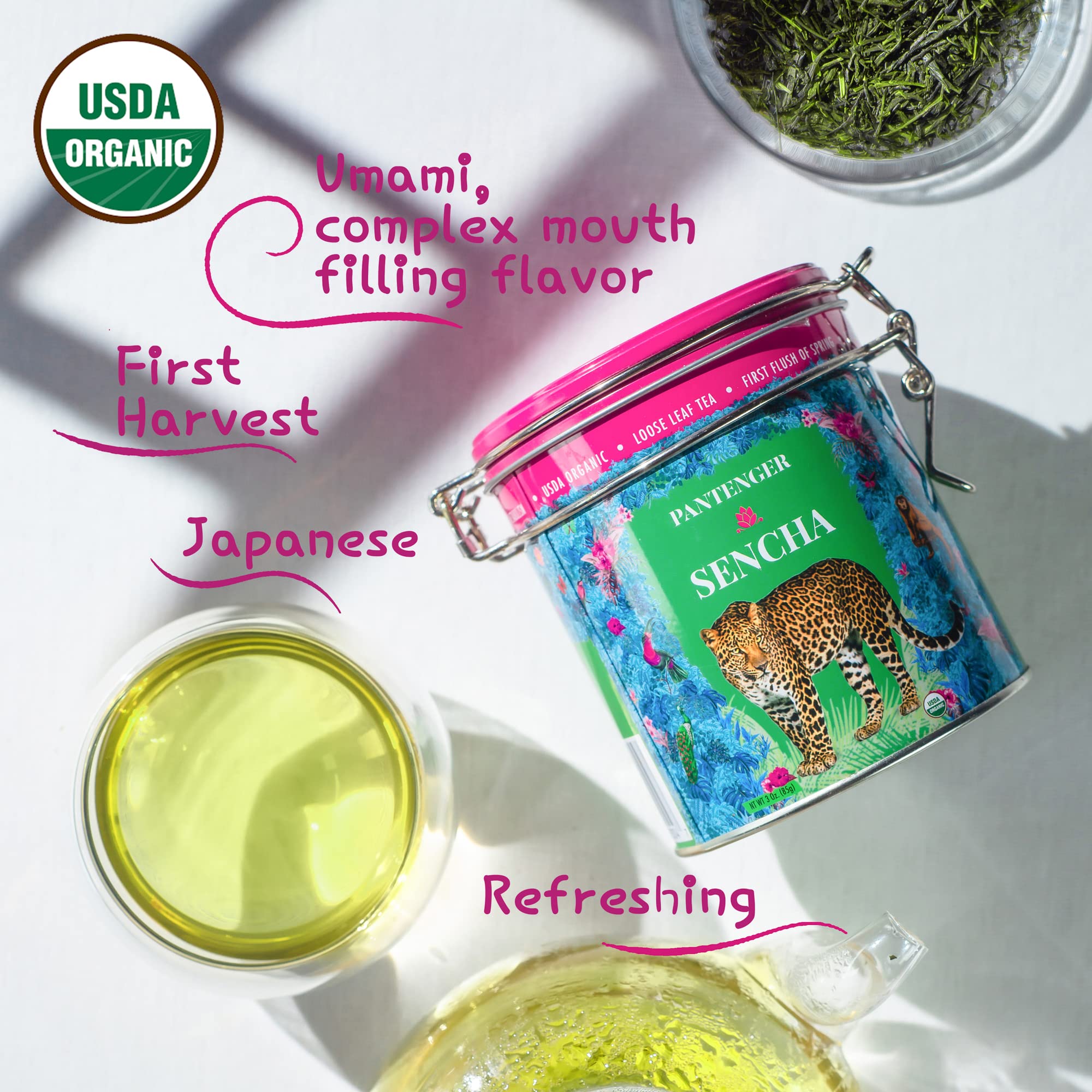 Pantenger Sencha Japanese Green Tea -20 Green Tea Bags- First Harvest | Ichiban Cha. USDA Organic Green Tea | Japanese Tea