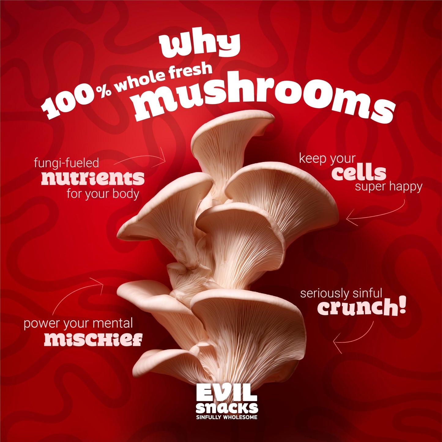 EVIL SNACKS Crunchy Mushroom Chips - Original, Non-GMO Project Verified, Plant-Based, Vegan, Gluten-Free - Nutrient-Packed, On-the-Go Snack - 2 Oz (3
