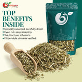 NY Spice Shop Meadowsweet Herb Cut & Sifted - 4 Ounce (Filipendula ulmaria) Natural Dried Meadowsweet Bulk Tea Herb in Resealable Packaging