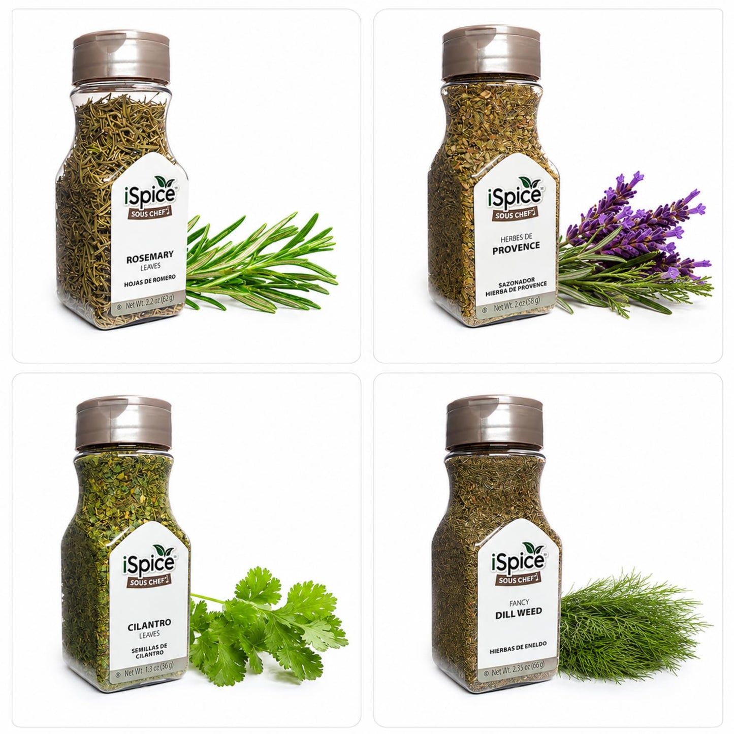 iSpice Spices and Seasonings Sets Starter Kitchen Set for Cooking - Spices Variety Pack Herb, & Seasoning |Gifts Home Basic Spice Set | 24 Pack