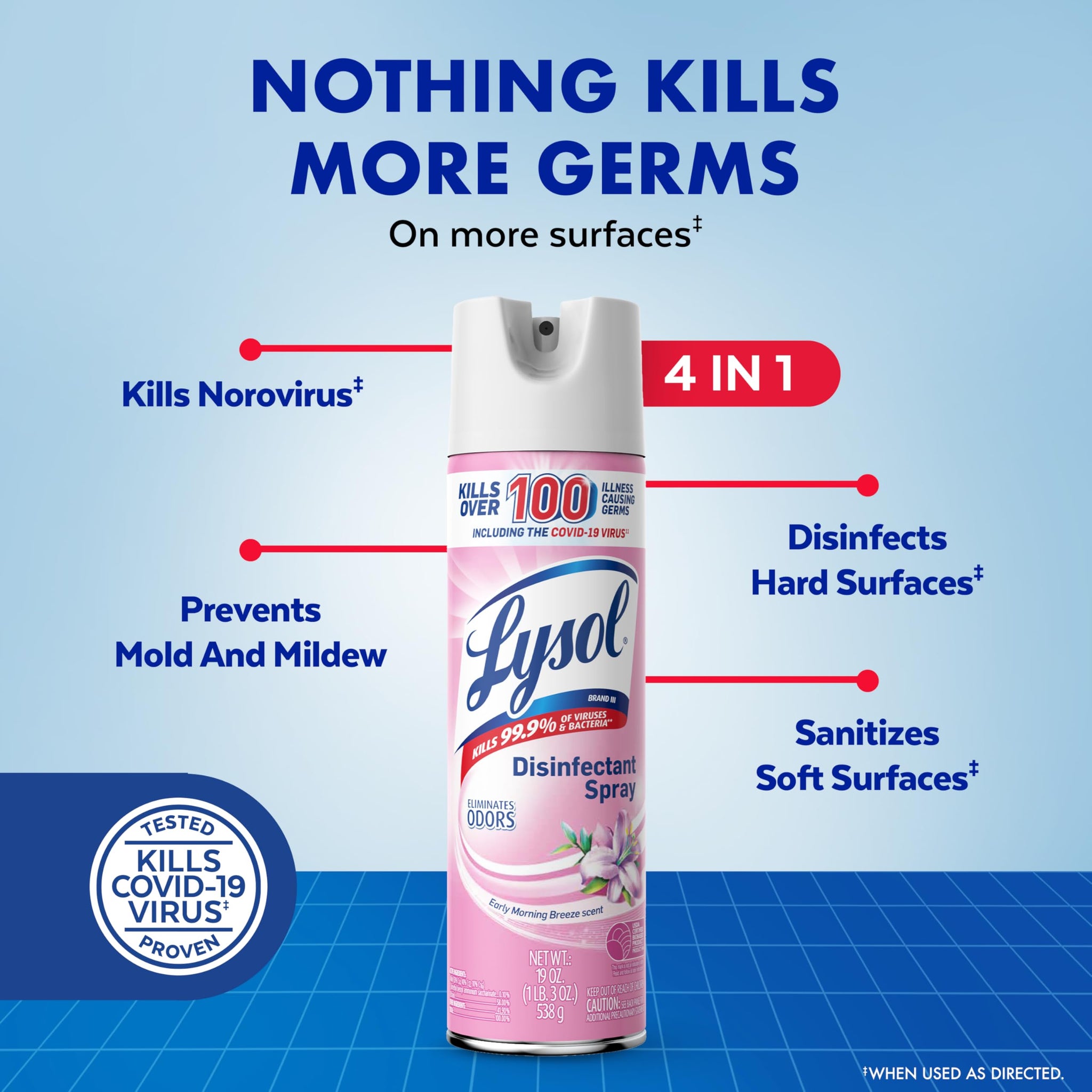 Lysol Disinfectant Spray, Household Cleaning Supplies, Disinfecting Multi-Purpose Room Spray, Antibacterial Sanitizer, Deodorizer, Kills Hantavirus